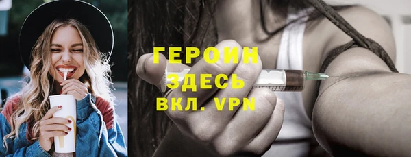 гидра Богданович