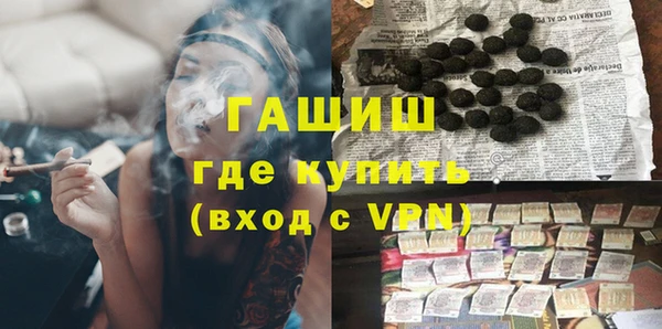 индика Медвежьегорск